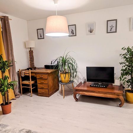 Appartement Cocooning Perpignan Dış mekan fotoğraf